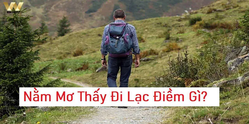 Mơ đi lạc vừa là điềm báo vừa có thể là cơ hội may mắn đến với bạn